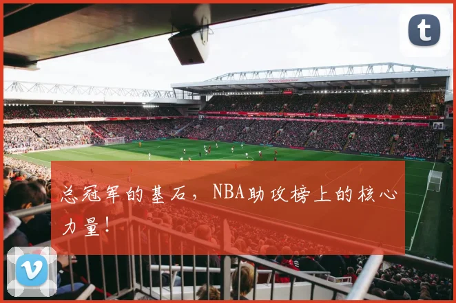 总冠军的基石，NBA助攻榜上的核心力量！